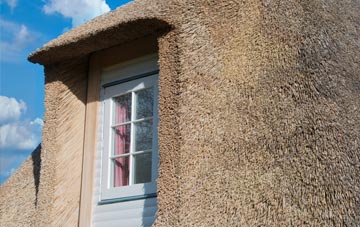 Singlewell thatch roof disadvantages