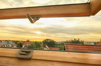 rated Singlewell roof window companies